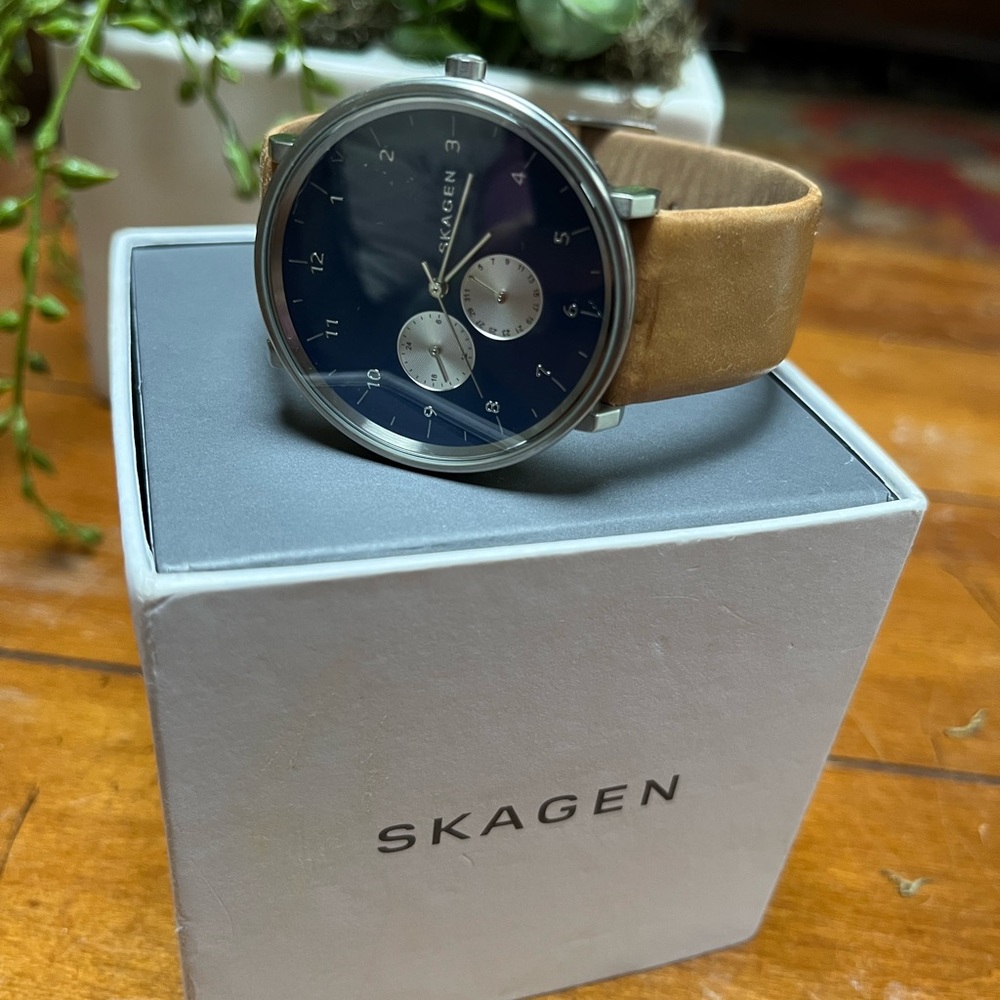 Men’s SKAGEN watch